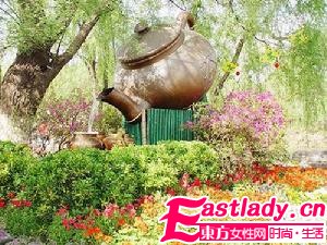 12款瘦身茶 你的肥胖好解决