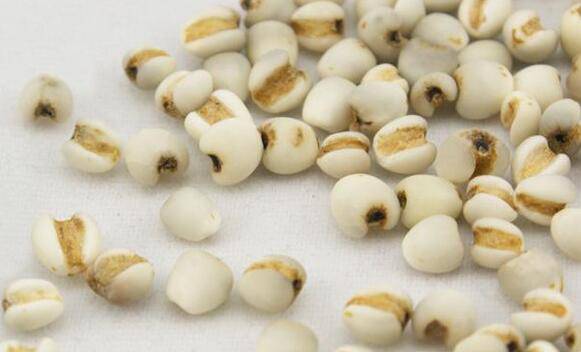 中医减肥最好的方法 不反弹还美容