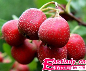 自制山渣减肥茶 开胃瘦身