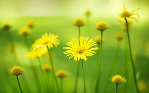 女人绝经后 当心这6种疾病找上你