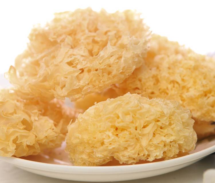 银耳有效助你预防乳腺癌