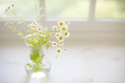 白带多且发黄是怎么回事 这是疾病症状吗