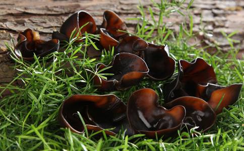 预防乳腺癌的食物 黑木耳既抗癌又防便秘