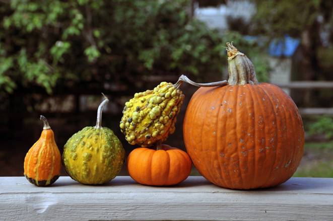 闭经的食疗有哪些 五大食疗方让你摆脱闭经