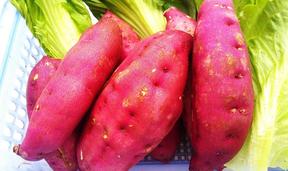 这七种食物预防女性卵巢早衰