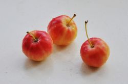 海棠果能在经期食用吗 多种功效吃出健康