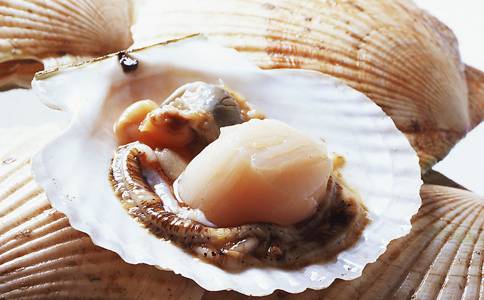 经期能吃扇贝吗 小心加重疼痛