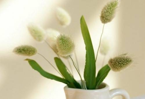 女人绝经后 当心这6种疾病找上你