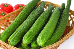 卵巢早衰是哪些因素造成 这4种食物助你调理