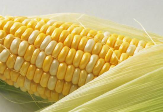 月经不调怎么调理 八大食疗改善月经不调