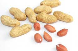 月经不调能吃花生吗 常吃花生调经又丰胸