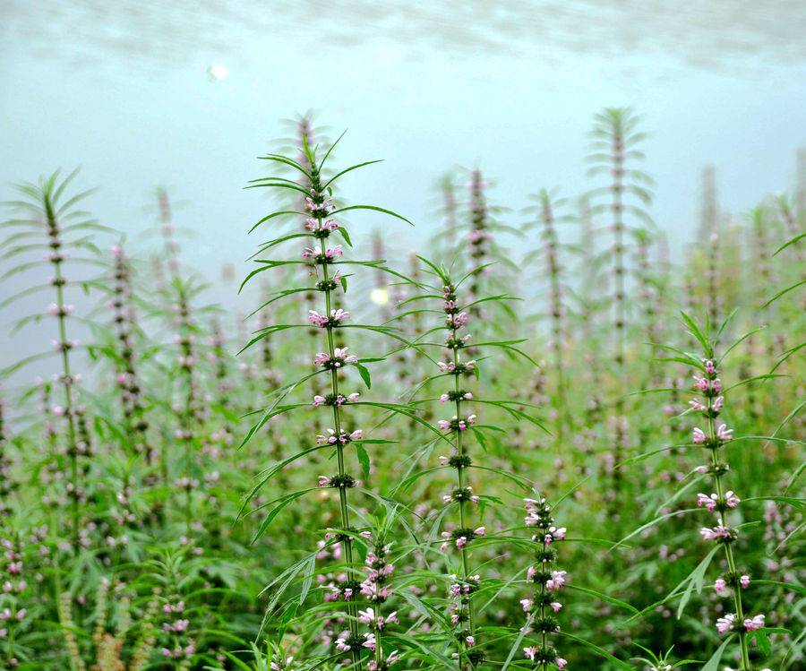 痛经需分型治疗 对症下药才是关键