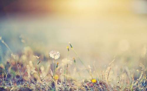 女人绝经后 当心这6种疾病找上你