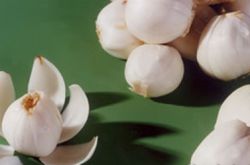 四大饮食疗法助你预防乳腺炎