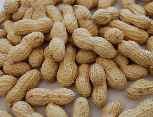 月经不调能吃花生吗 常吃花生调经又丰胸