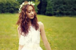 三种食物使更年期女性 顺气 不易燥