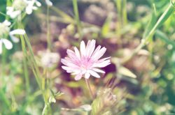 女人绝经后 当心这6种疾病找上你