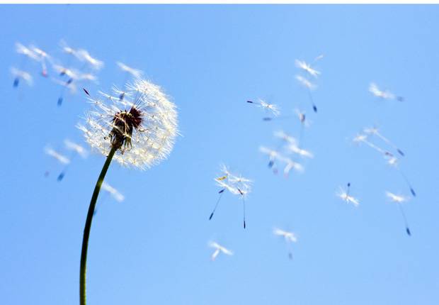 3大偏方帮你治疗慢性乳腺炎