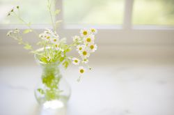 白带多且发黄是怎么回事 这是疾病症状吗