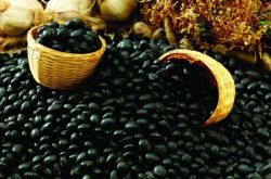 闭经吃什么好 六款饮食疗方治闭经