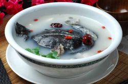 月经不调能吃甲鱼吗 滋阴壮阳的上好佳品