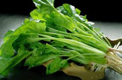 功能性子宫出血怎么调理 四大食谱帮你忙