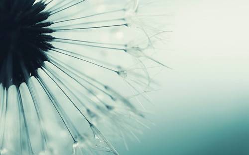 女人绝经后 当心这6种疾病找上你