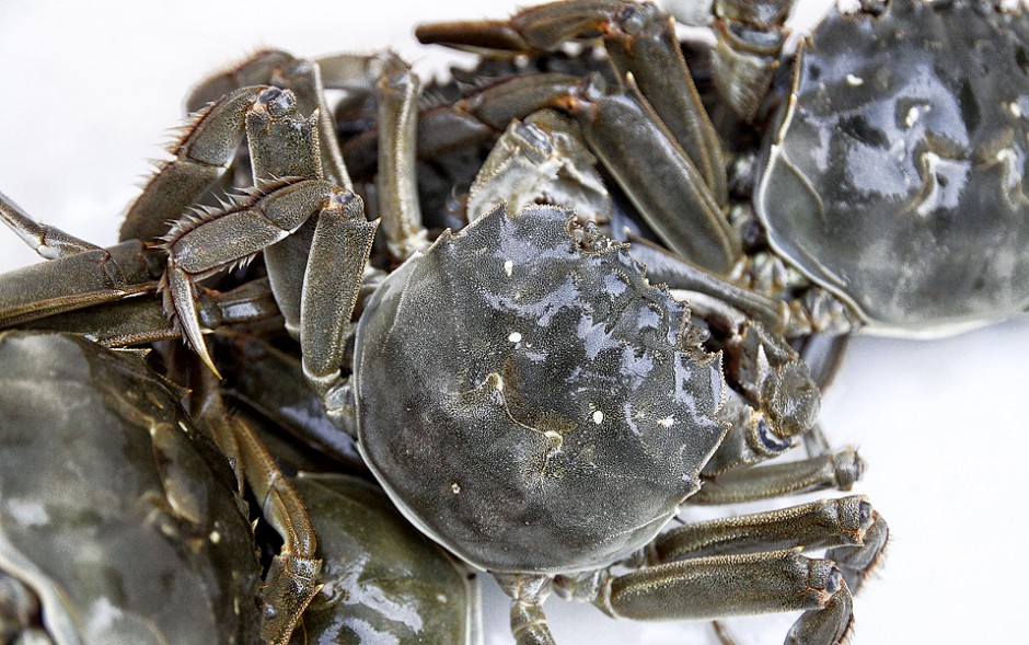 卵巢囊肿吃什么食物好 饮食原则需牢记