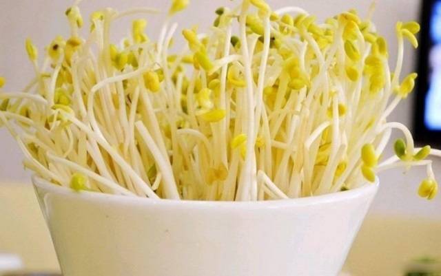 推荐附件炎患者的4款饮食疗法