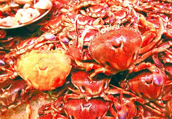 乳腺炎吃什么药 这些偏方你一定要知道