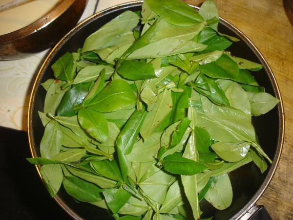 乳腺炎吃什么药 这些偏方你一定要知道