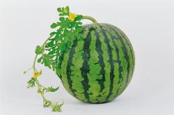 痛经能吃水果吗 推荐4种水果有效缓解痛经