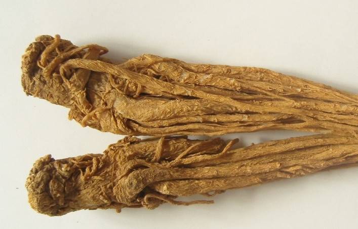 遭受 大姨妈 折磨 喝汤就能摆脱