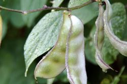 白带异常怎么办 白带异常预示着这些妇科病