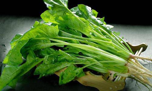 功能性子宫出血怎么调理 四大食谱帮你忙