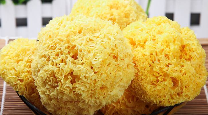 银耳有效助你预防乳腺癌