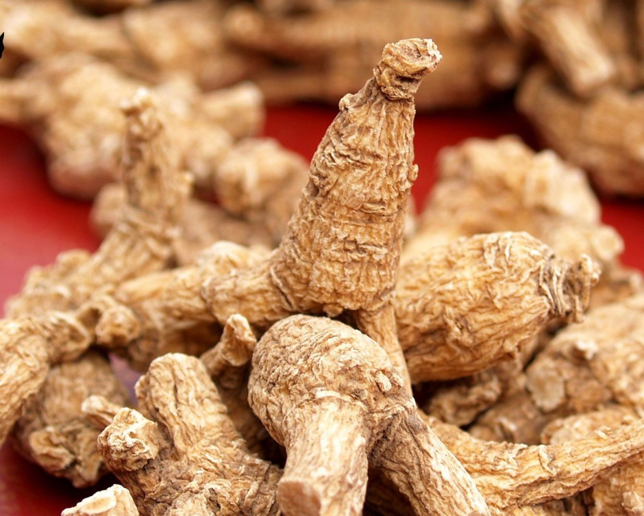 乳腺小叶增生的病因有哪些 西洋参5大功效好处