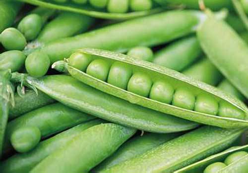 多吃含叶酸的食品能帮助女性保养卵巢