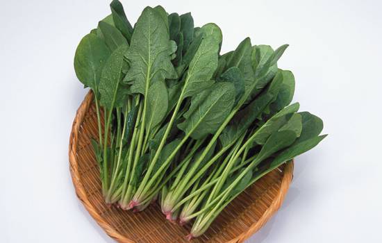 功能性子宫出血吃什么调理 4大饮食有效调理