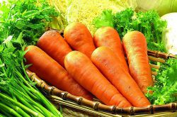 五大营养食谱助于调理子宫内膜炎