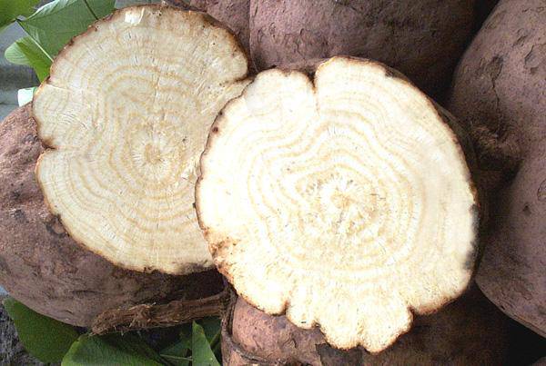 卵巢早衰是哪些因素造成 这4种食物助你调理