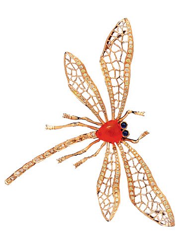 光鲜亮丽的时尚珠宝 女人的最爱