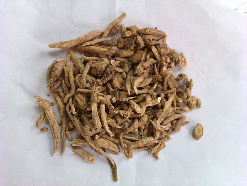 尿道炎怎么办 治疗尿道炎的中药材有哪些