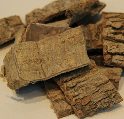 杜仲的功效 杜仲降压的化学成分与作用