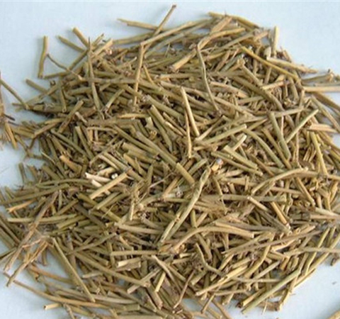 麻黄的功效与作用 麻黄到底能干什么