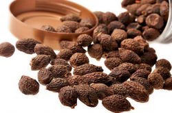 胖大海的功效与作用 哪类人群不宜食用