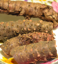 红景天的功效与作用 红景天食疗方