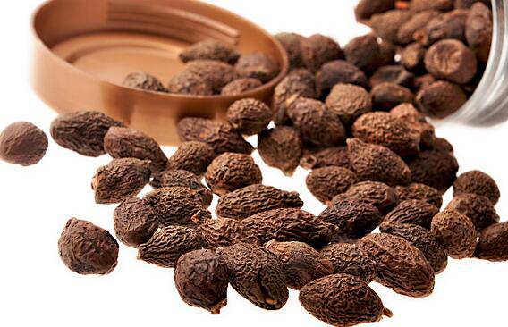 胖大海的功效与作用 哪类人群不宜食用