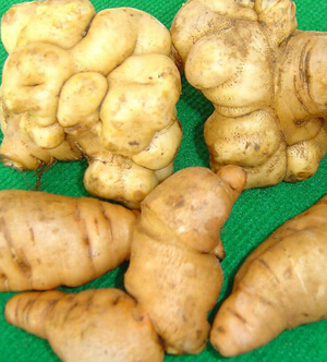 熟地的功效与作用 熟地和当归配伍补血养阴