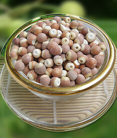 芡实的功效与作用 调整脾胃芡实粥的做法